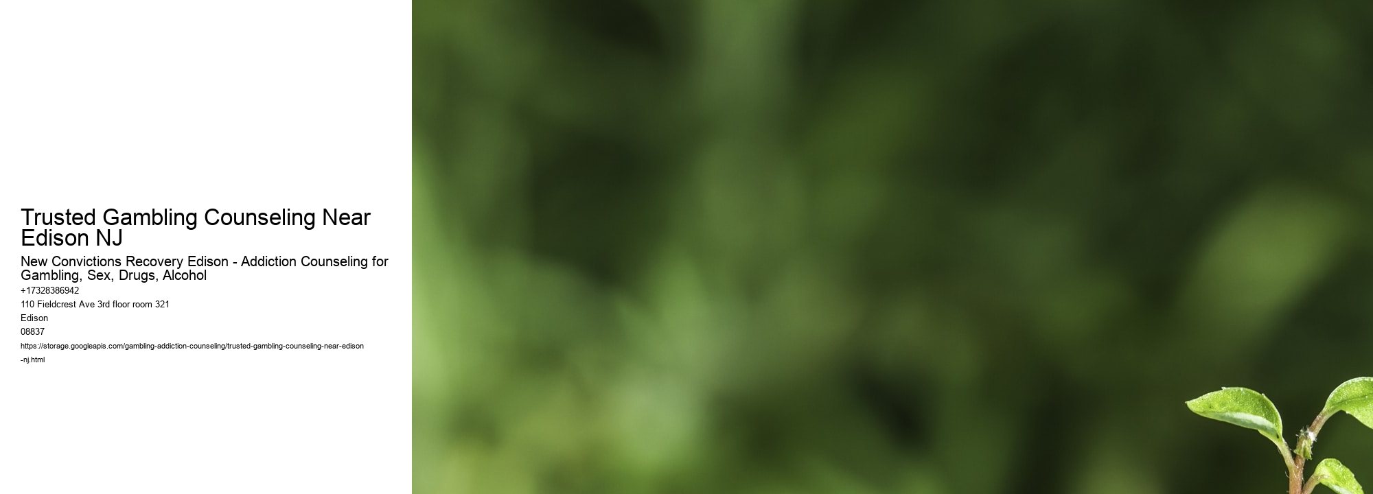 Trusted Gambling Counseling Near Edison NJ