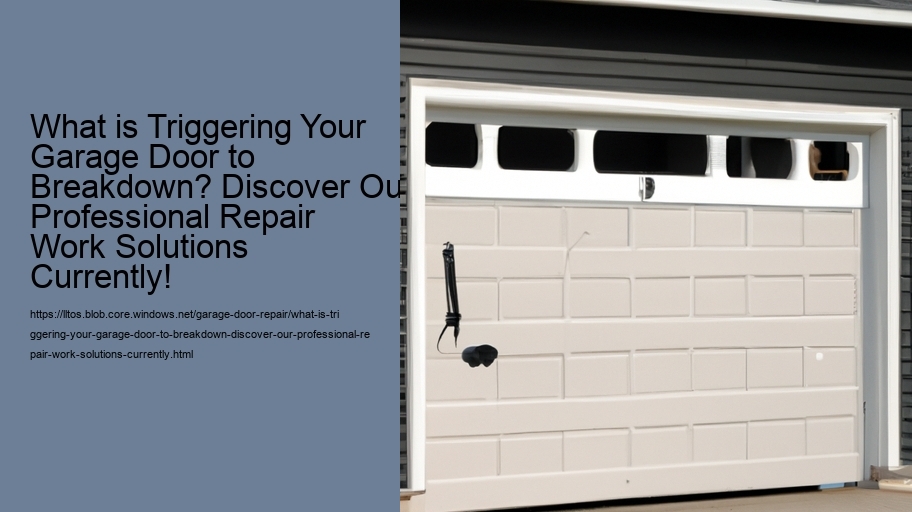 What is Triggering Your Garage Door to Breakdown? Discover Our Professional Repair Work Solutions Currently!