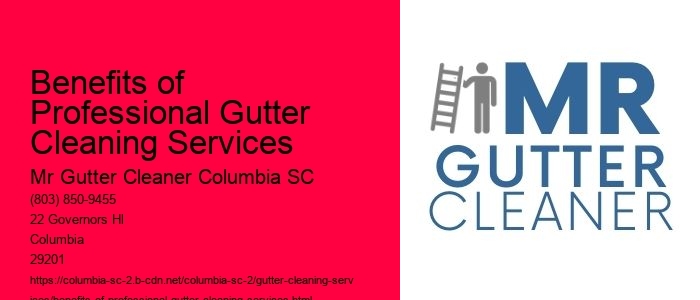 Benefits of Professional Gutter Cleaning Services