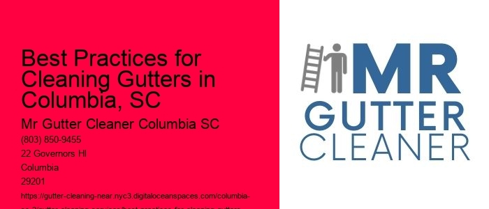 Best Practices for Cleaning Gutters in Columbia, SC