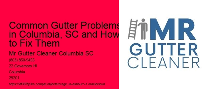 Common Gutter Problems in Columbia, SC and How to Fix Them