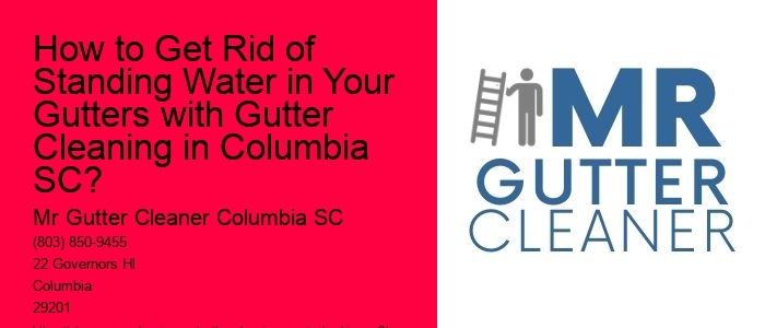 How to Get Rid of Standing Water in Your Gutters with Gutter Cleaning in Columbia SC?
