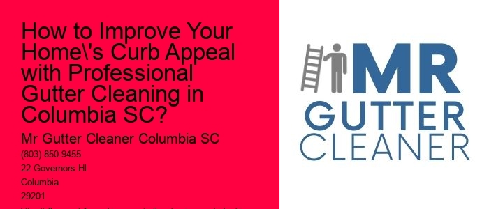 How to Improve Your Home's Curb Appeal with Professional Gutter Cleaning in Columbia SC?