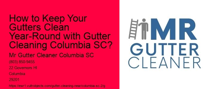 How to Keep Your Gutters Clean Year-Round with Gutter Cleaning Columbia SC?