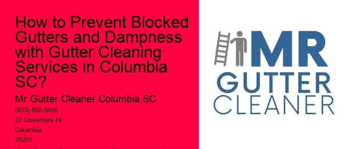 How to Prevent Blocked Gutters and Dampness with Gutter Cleaning Services in Columbia SC?