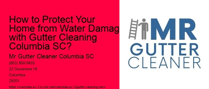 How to Protect Your Home from Water Damage with Gutter Cleaning Columbia SC?