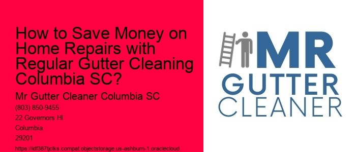 How to Save Money on Home Repairs with Regular Gutter Cleaning Columbia SC?
