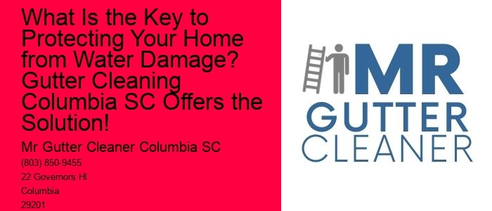What Is the Key to Protecting Your Home from Water Damage? Gutter Cleaning Columbia SC Offers the Solution!