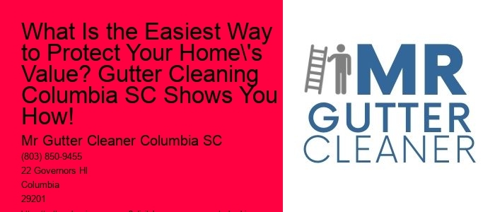 What Is the Easiest Way to Protect Your Home's Value? Gutter Cleaning Columbia SC Shows You How!