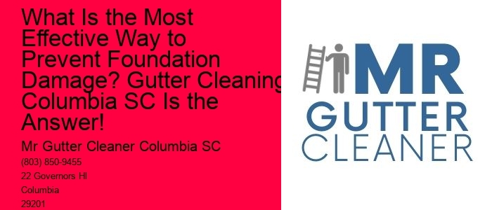 What Is the Most Effective Way to Prevent Foundation Damage? Gutter Cleaning Columbia SC Is the Answer!