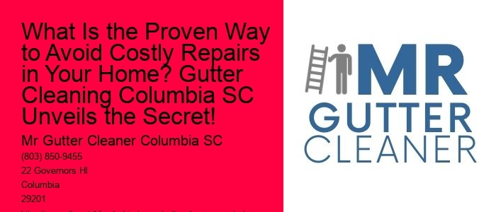 What Is the Proven Way to Avoid Costly Repairs in Your Home? Gutter Cleaning Columbia SC Unveils the Secret!
