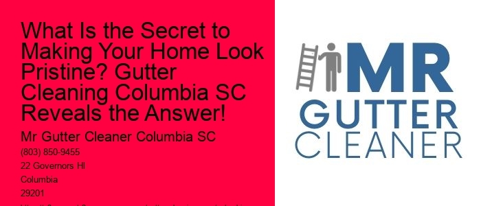 What Is the Secret to Making Your Home Look Pristine? Gutter Cleaning Columbia SC Reveals the Answer!