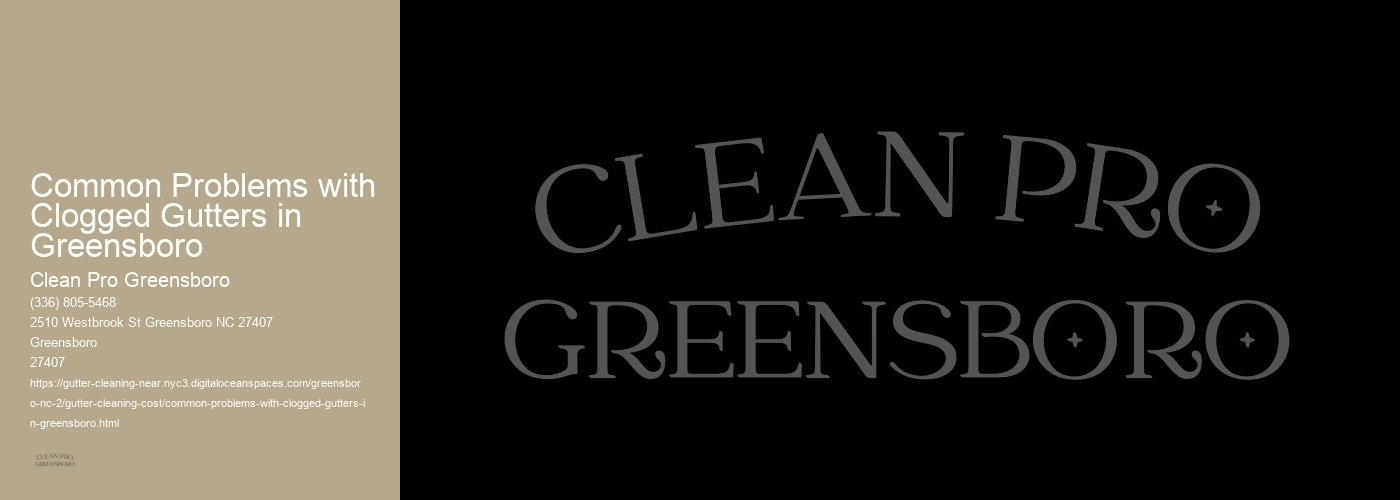 Common Problems with Clogged Gutters in Greensboro 