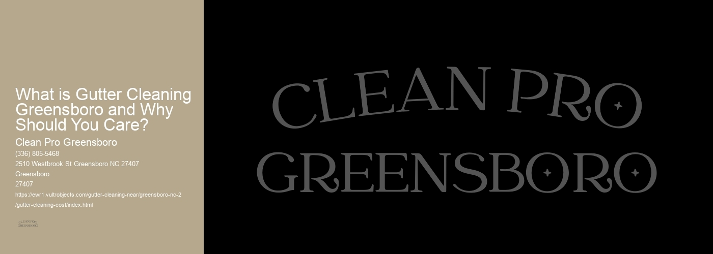 What is Gutter Cleaning Greensboro and Why Should You Care? 