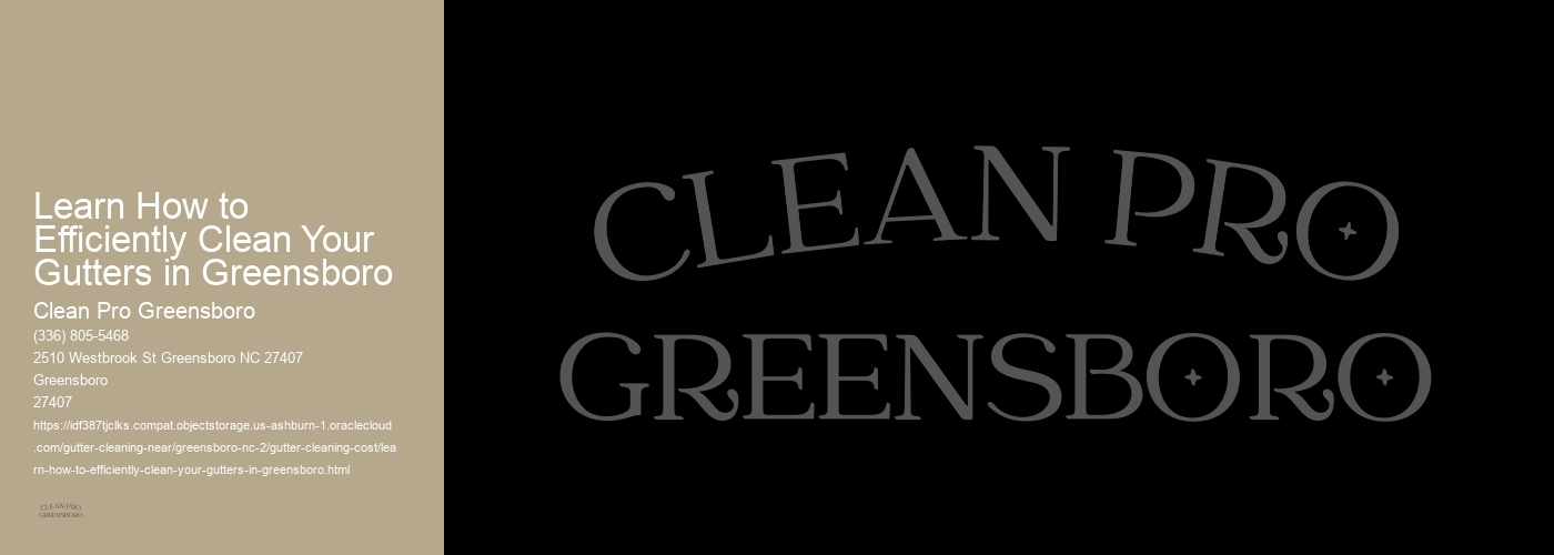 Learn How to Efficiently Clean Your Gutters in Greensboro 