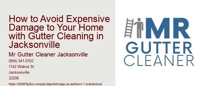 How to Avoid Expensive Damage to Your Home with Gutter Cleaning in Jacksonville