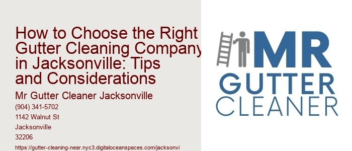 How to Choose the Right Gutter Cleaning Company in Jacksonville: Tips and Considerations