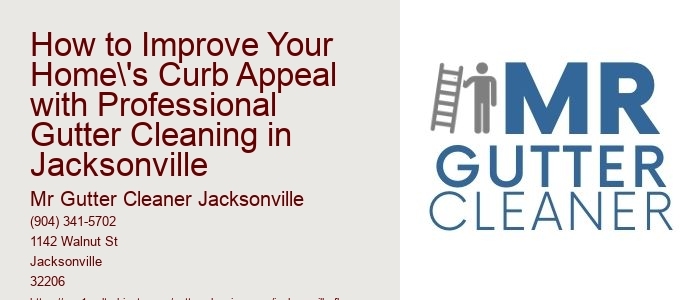 How to Improve Your Home's Curb Appeal with Professional Gutter Cleaning in Jacksonville