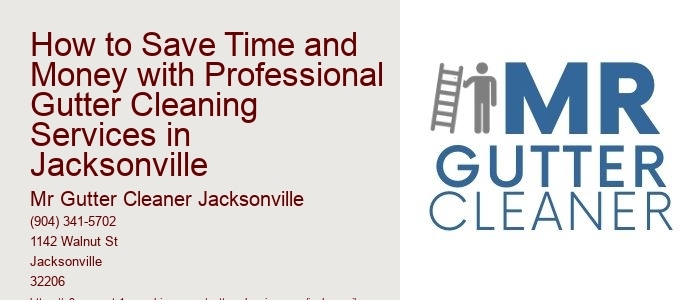 How to Save Time and Money with Professional Gutter Cleaning Services in Jacksonville