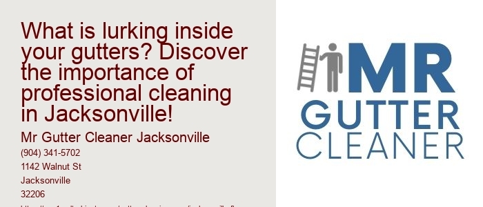 What is lurking inside your gutters? Discover the importance of professional cleaning in Jacksonville!