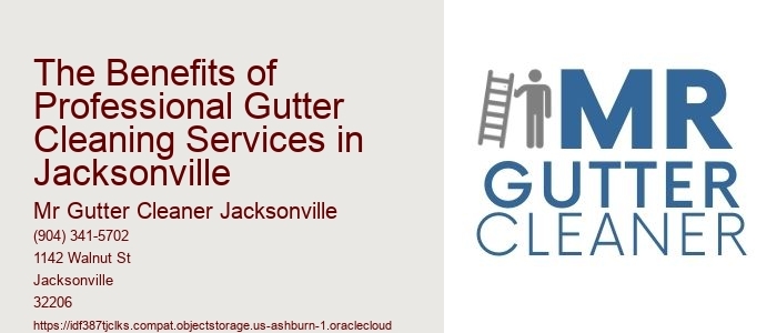 The Benefits of Professional Gutter Cleaning Services in Jacksonville