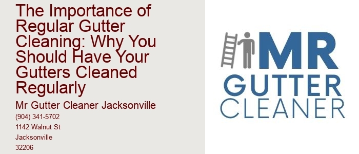 The Importance of Regular Gutter Cleaning: Why You Should Have Your Gutters Cleaned Regularly