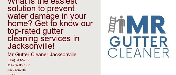 What is the easiest solution to prevent water damage in your home? Get to know our top-rated gutter cleaning services in Jacksonville!