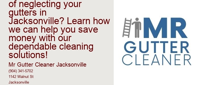 What is the hidden cost of neglecting your gutters in Jacksonville? Learn how we can help you save money with our dependable cleaning solutions!