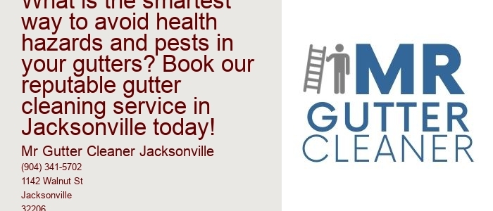 What is the smartest way to avoid health hazards and pests in your gutters? Book our reputable gutter cleaning service in Jacksonville today!