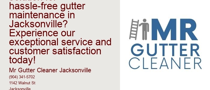 What is the ultimate solution for hassle-free gutter maintenance in Jacksonville? Experience our exceptional service and customer satisfaction today!