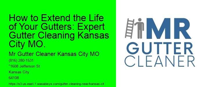 How to Extend the Life of Your Gutters: Expert Gutter Cleaning Kansas City MO.