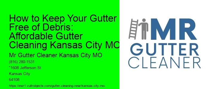 How to Keep Your Gutter Free of Debris: Affordable Gutter Cleaning Kansas City MO