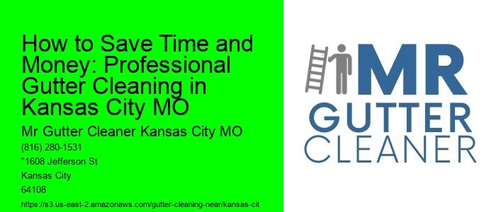 How to Save Time and Money: Professional Gutter Cleaning in Kansas City MO