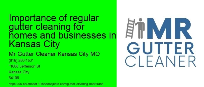 Importance of regular gutter cleaning for homes and businesses in Kansas City 