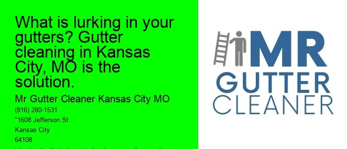 What is lurking in your gutters? Gutter cleaning in Kansas City, MO is the solution.