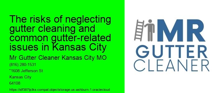The risks of neglecting gutter cleaning and common gutter-related issues in Kansas City 