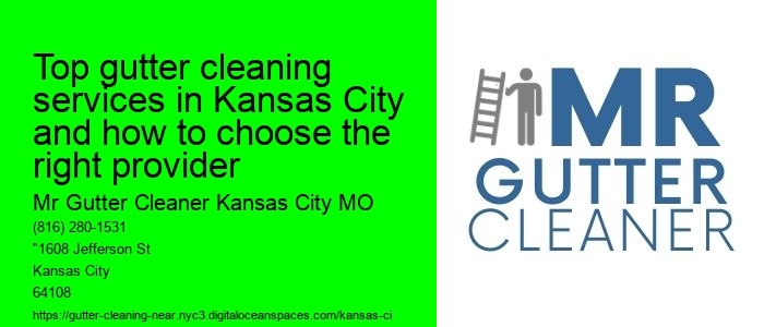 Top gutter cleaning services in Kansas City and how to choose the right provider 