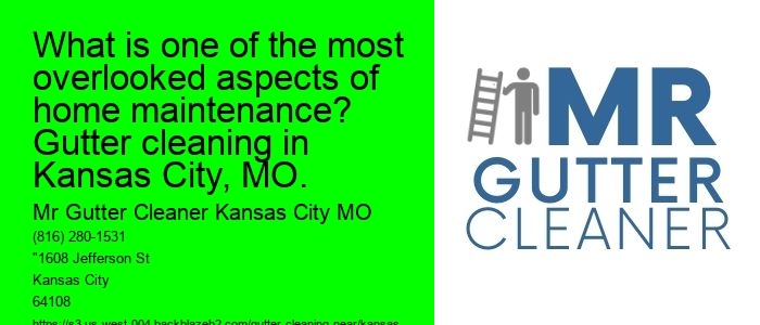 What is one of the most overlooked aspects of home maintenance? Gutter cleaning in Kansas City, MO.
