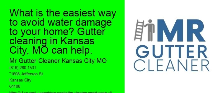 What is the easiest way to avoid water damage to your home? Gutter cleaning in Kansas City, MO can help.