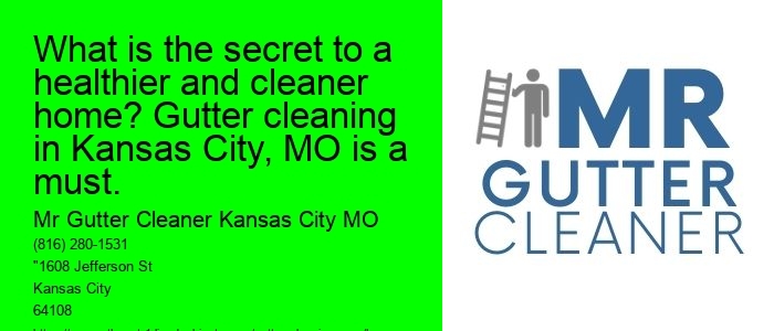 What is the secret to a healthier and cleaner home? Gutter cleaning in Kansas City, MO is a must.
