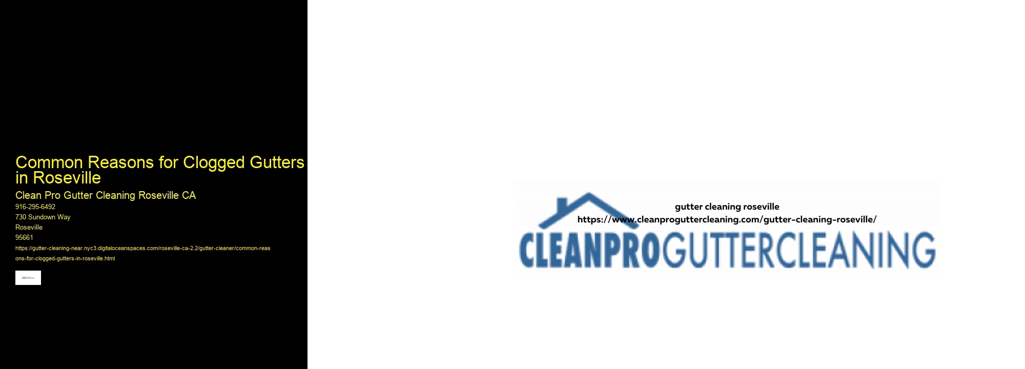 Common Reasons for Clogged Gutters in Roseville 