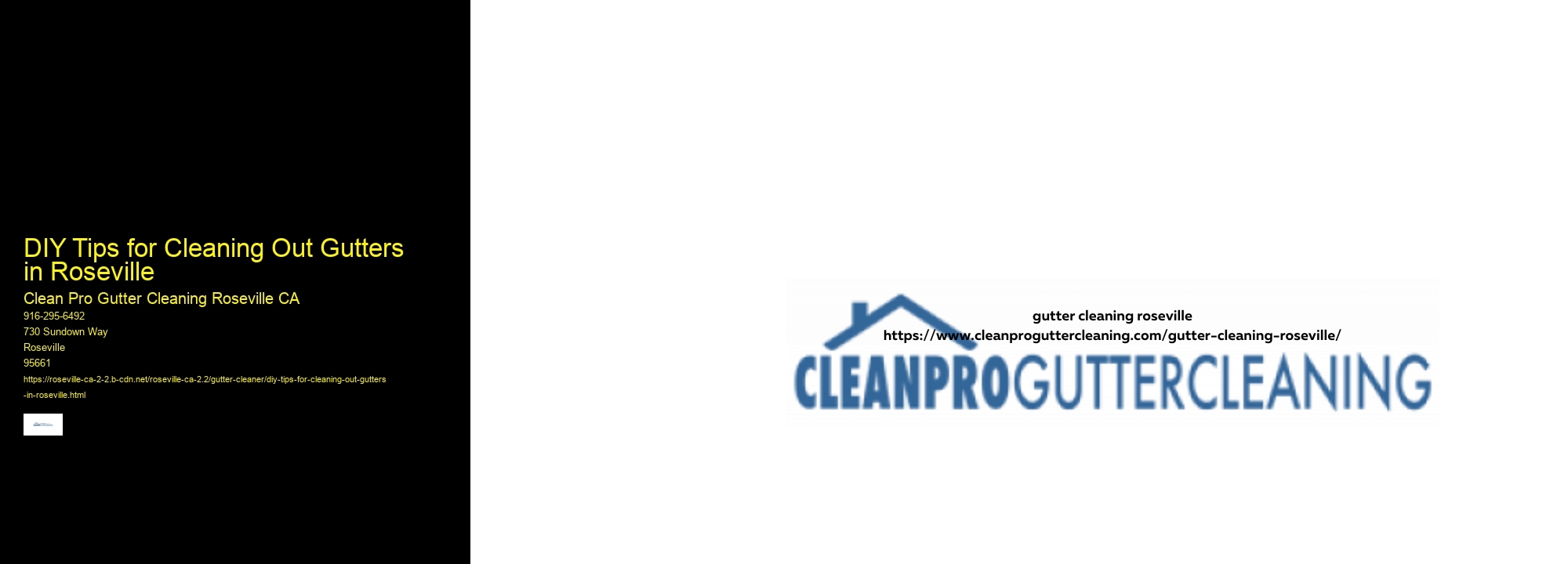 DIY Tips for Cleaning Out Gutters in Roseville 