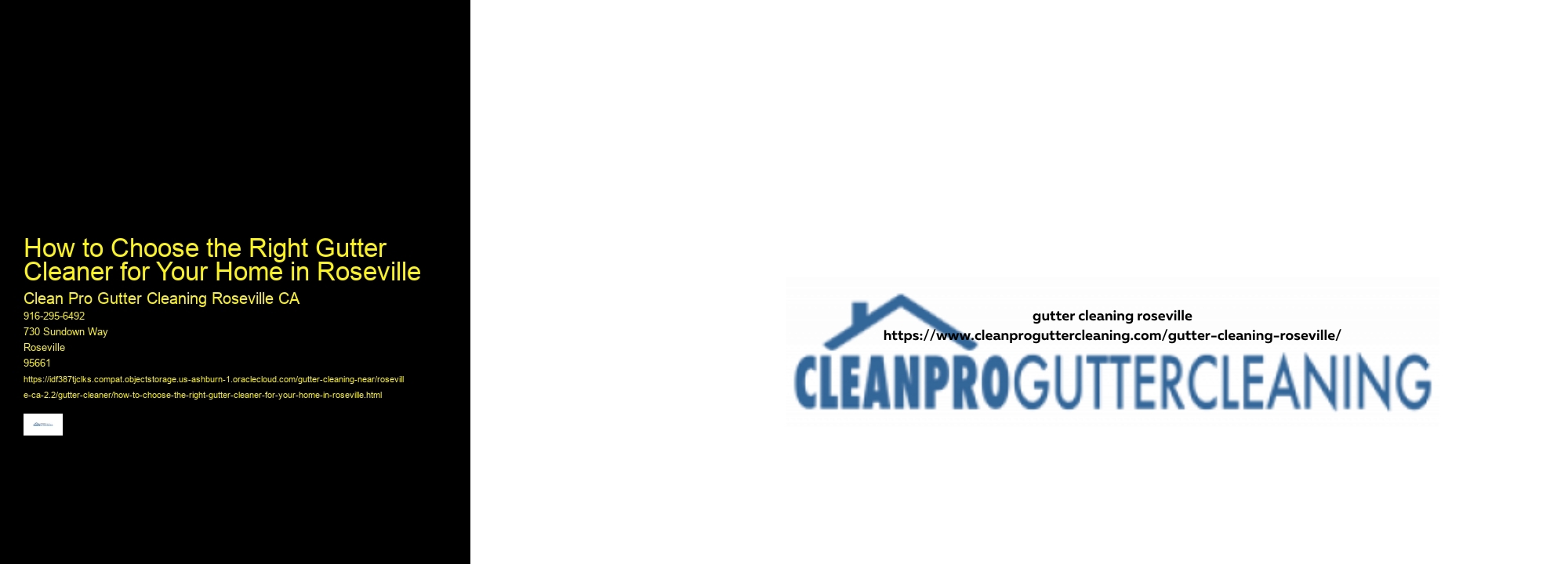 How to Choose the Right Gutter Cleaner for Your Home in Roseville 