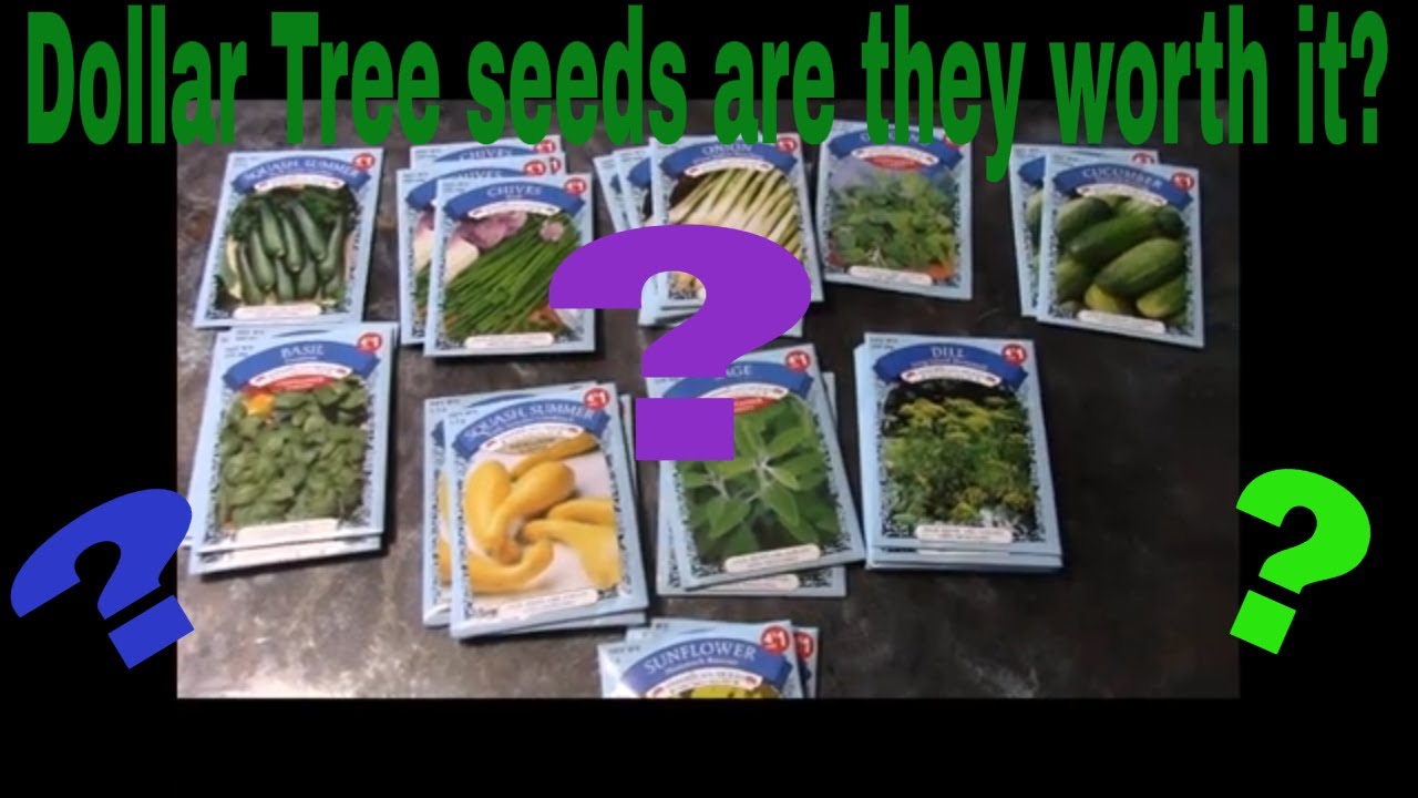free seeds from government