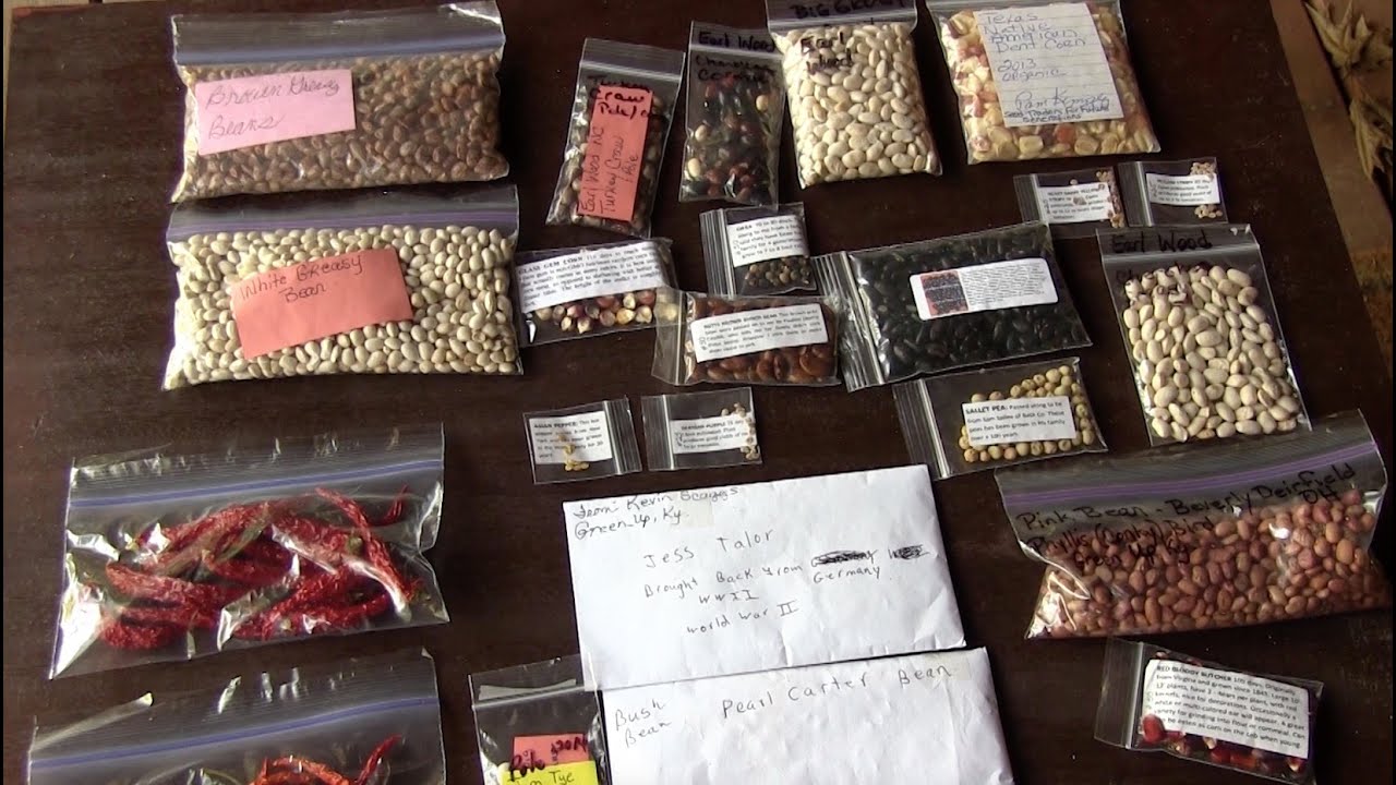 types of organic chia seeds