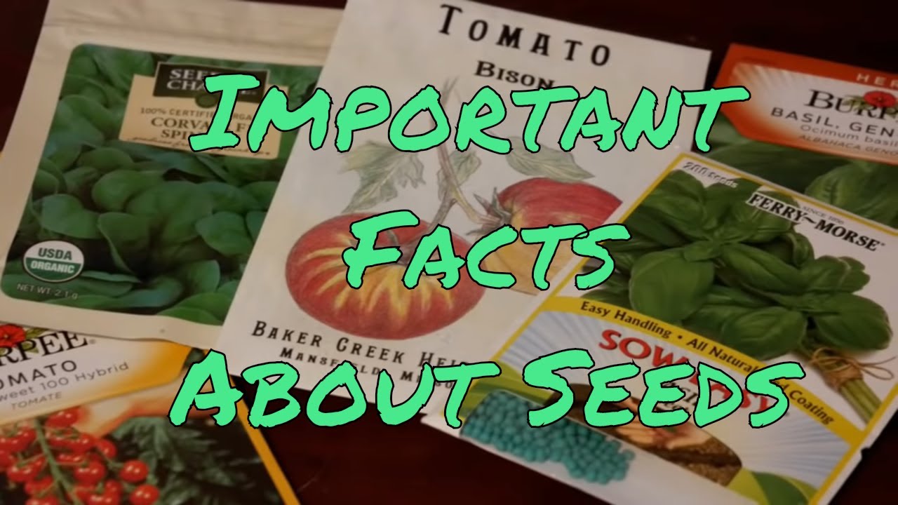 why is it important to save heirloom seeds
