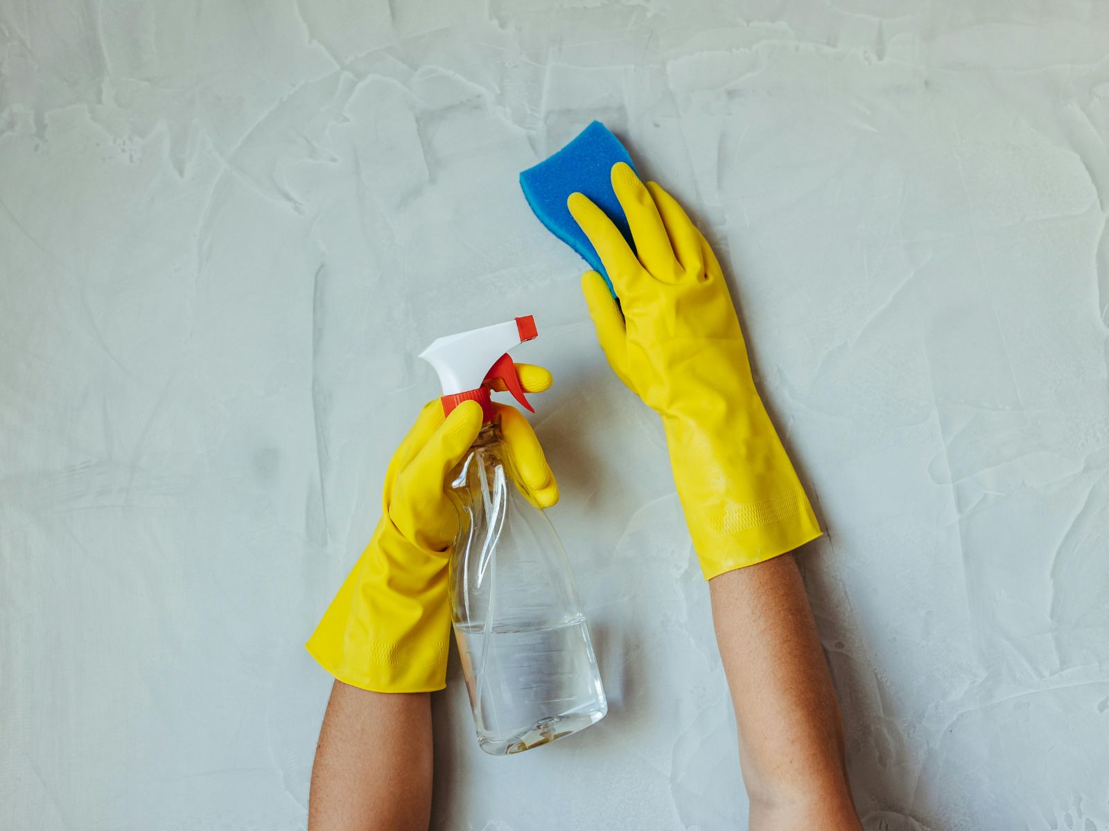 Experienced Cleaning Team