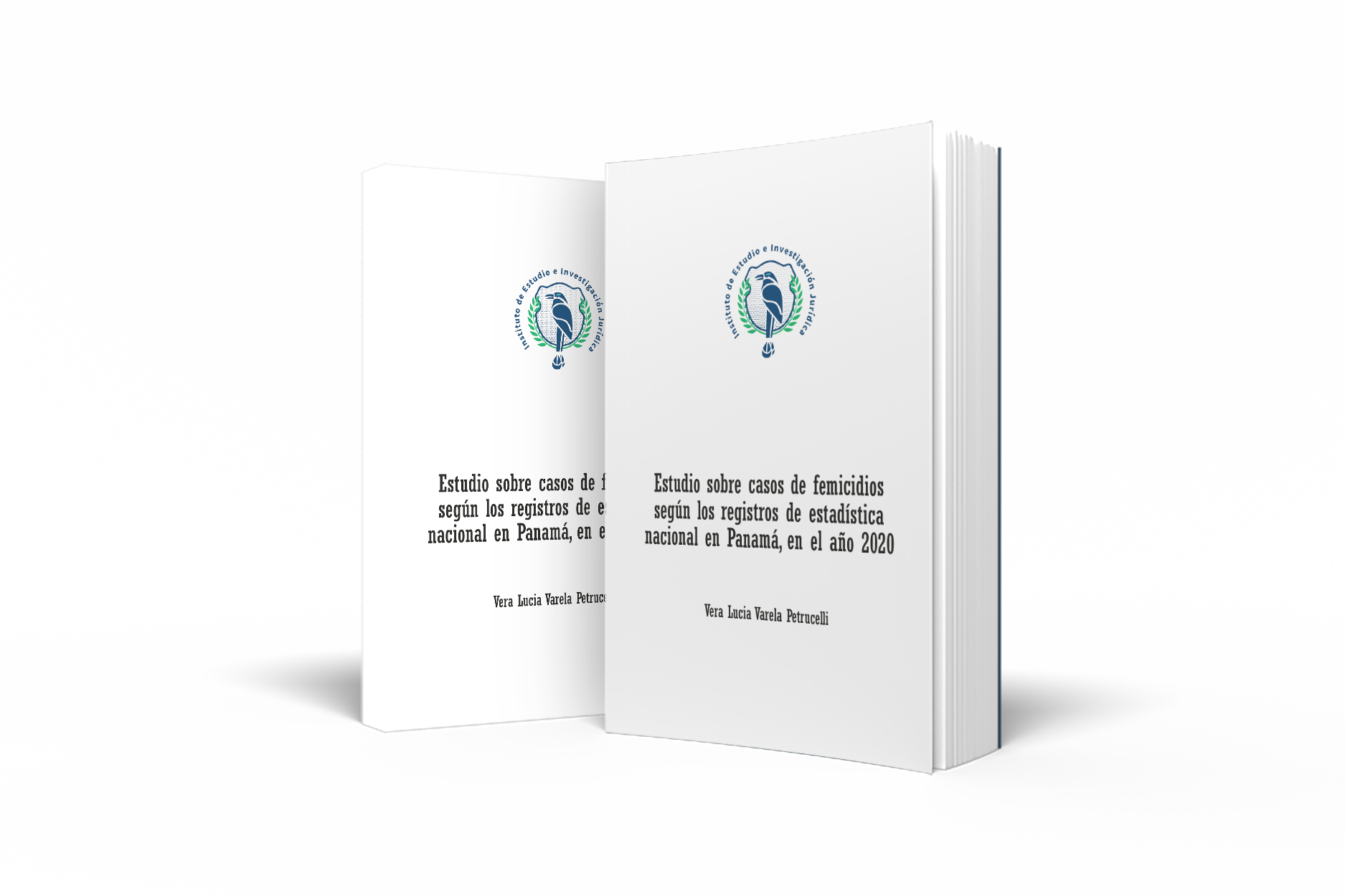 Libro: Estudio sobre casos de femicidios según los registros de estadística nacional en Panamá, en el año 2020