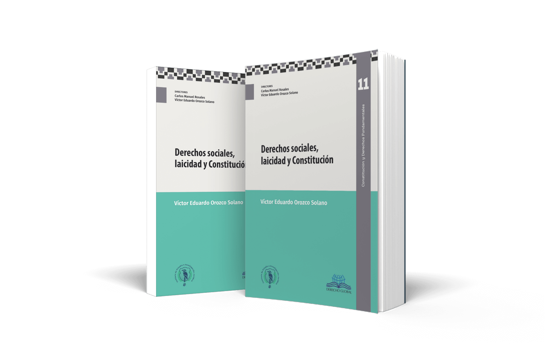Libro: Derechos sociales, laicidad y constitución (2025)