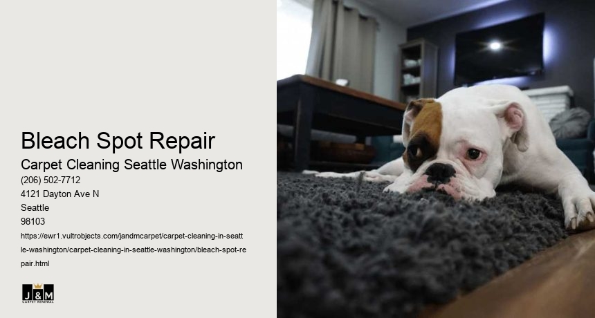 Bleach Spot Repair